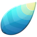 Pokemon Item ITEM_DRAGON_SCALE - 1104
