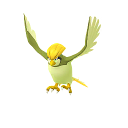Pokémon kaufen Pidgeotto