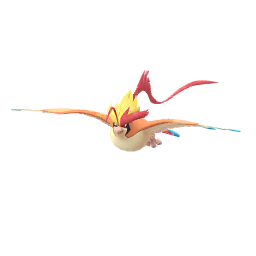 Pidgeot