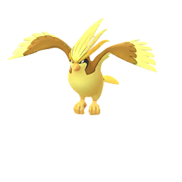 Achetez Pokémon Pidgeot