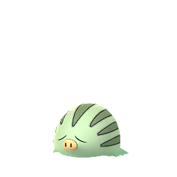 Achetez Pokémon Swinub