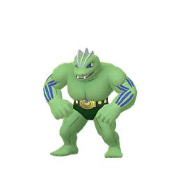 Comprar Pokémon Machoke