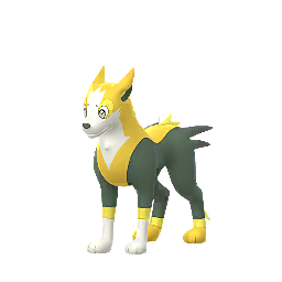 Boltund