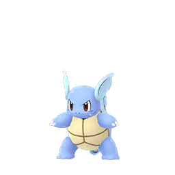 Achetez Pokémon Wartortle