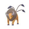 Koop Pokémon Tauros