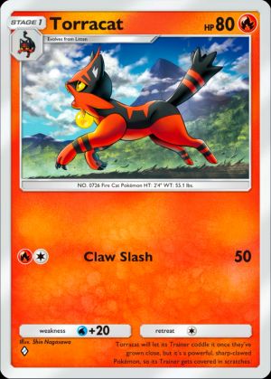 Torracat