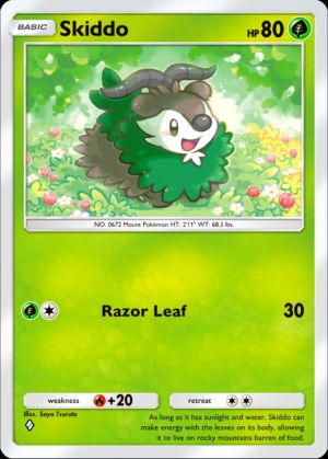 Skiddo