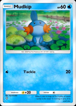 Mudkip